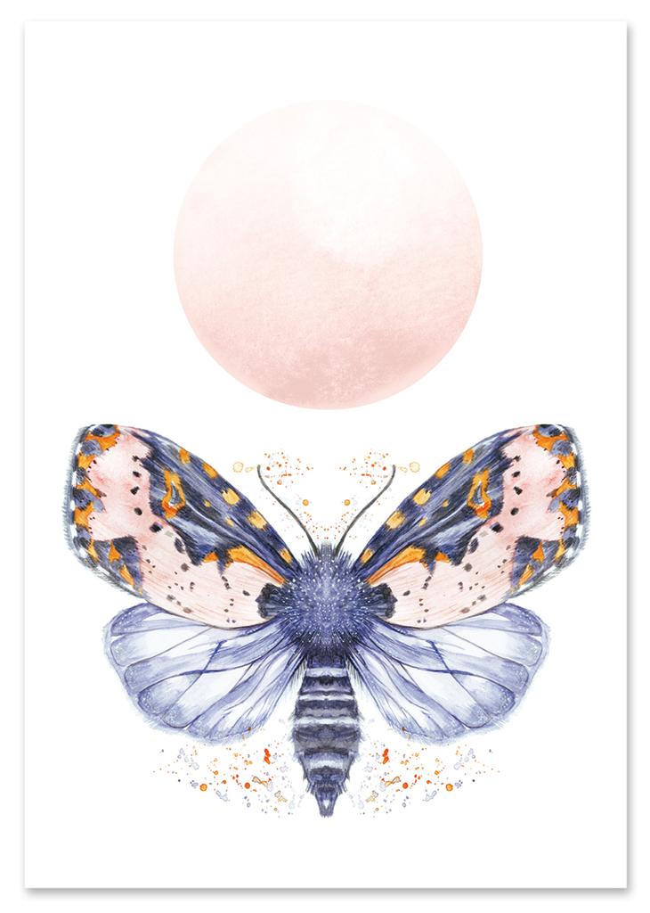 Плакат «Мотылёк-бабочка» для детской комнаты