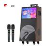 HiVi Portable KTV Karaoke Speaker System