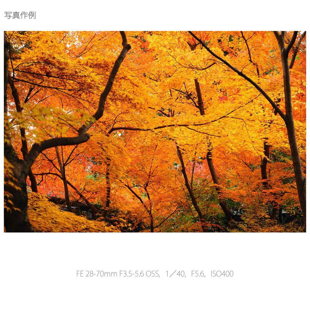 Стандартный зум-объектив SONY FE OSS, совместимый с полноразмерными камерами 28-70 мм F3.5-5.6