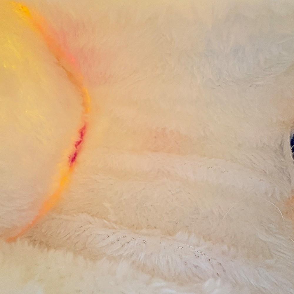 Теплый гамак для хомяка Утолщенный плюшевый Кроватки для белки Спальный мешок для питомца Аксессуары для клетки