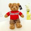 Носить плюшевую игрушку-мишку Тедди в одежде, мультяшную куклу, мягкую игрушку, подарок для ребенка на день рождения