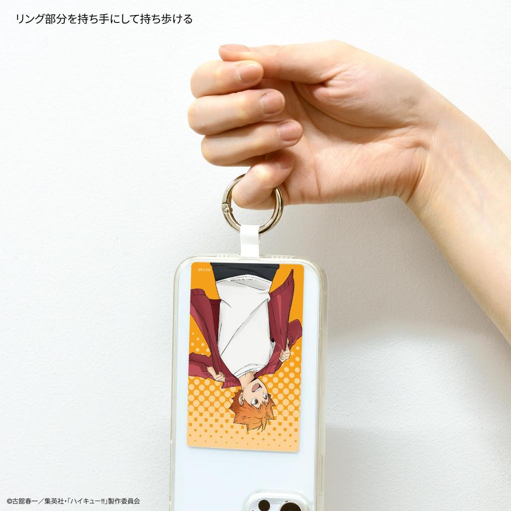 Гурмандии Haikyu!! Многоколечный Плюс Большой Хюга Сёё BHIK-15A