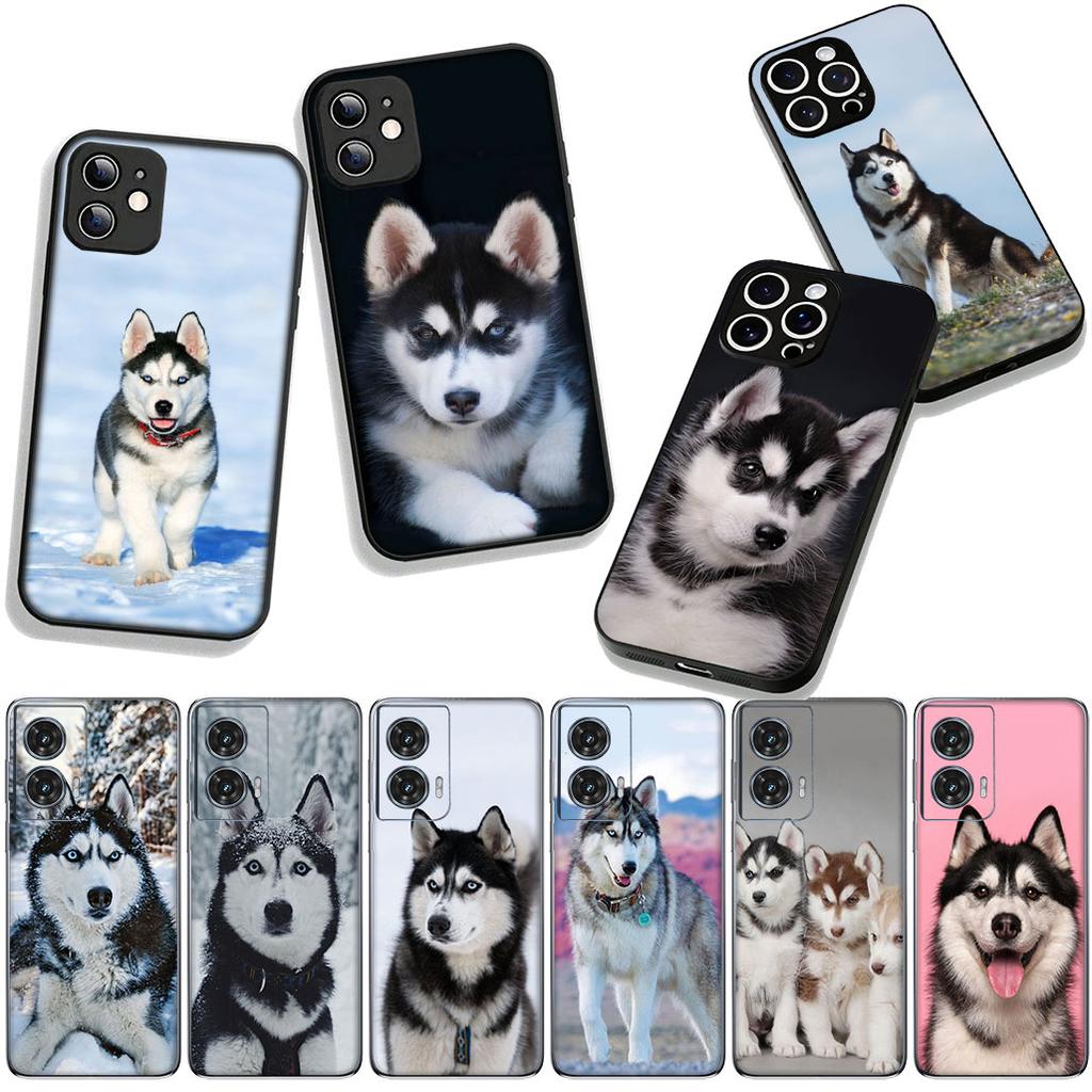 Cover Lovely Husky Dog Funny for Motorola Moto G04 G13 G14 G22 G23 G20 G32 G34 G35 G64 G82 G84 G53 G60 G72 E14 E15 E13 Case