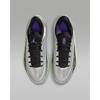 Nike Zion 4 Серый туман Металлик Серебристый FD0591-005 Мужской размер