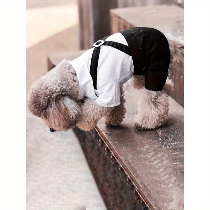 1 шт. Охлаждающая рубашка для питомца, Дизайн на 4 лапы, Формальный воротник, Одежда для кошек и собак