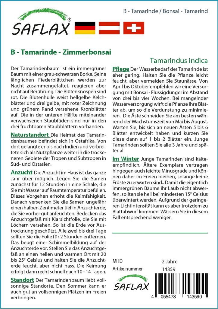 SAFLAX Garden in the Bag - Бонсай - Тамаринд - 4 семени - С субстратом в подходящем пакете-стойке - Tamarindus indica