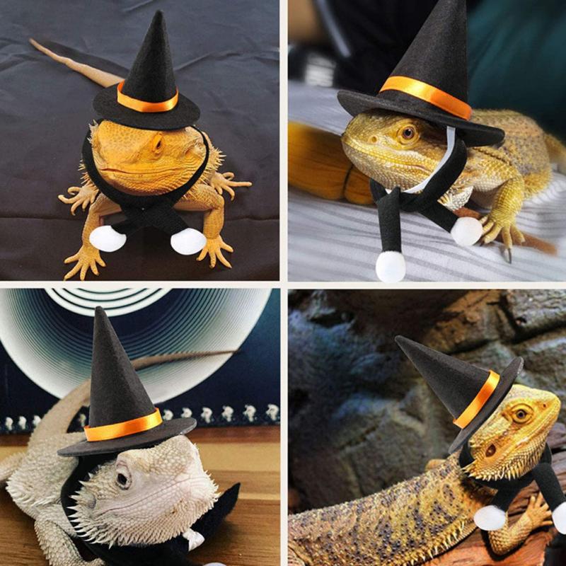 Шляпа ведьмы волшебника из петрового войлока с эластичной лентой, портативная шляпа для волшебного украшения для вечеринок на Хэллоуин