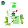 Dettol Ботанический уход Антибактериальное мыло для рук (2 x 500 г)