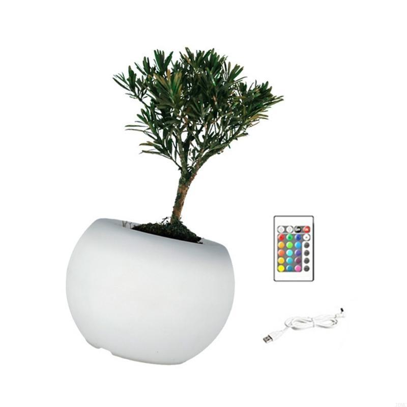 Modern Succulents Planter LED Color Changing Light Indoor Home Decoration J0MC