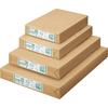 KOKUYO Copy Paper 500 PPC low whiteness recycled 66G A3, 0.10mm thickness, sheets, paper, general-purpose paper, paper, KB-SS38