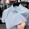 Pierre Cardin Men's 100% Cotton Striped Non-Iron Short-Sleeve Shirt