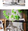 Transparent Glass Hydroponic Vase for Flower Arrangement - Japanese Bellflower & Andromeda