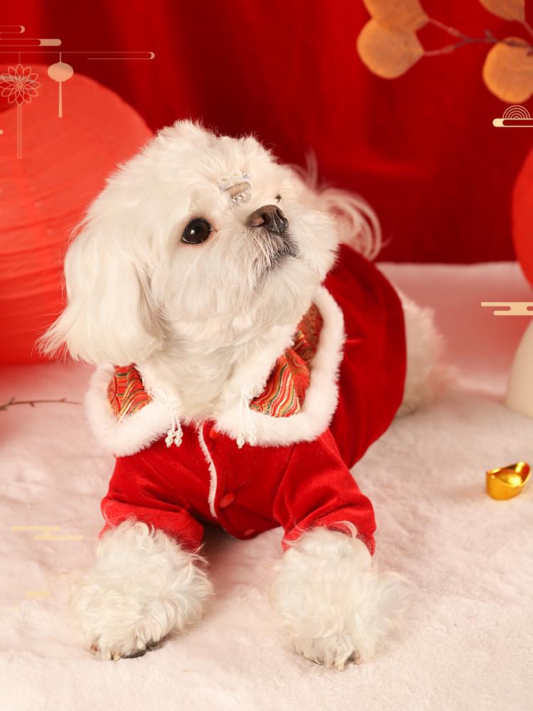 Праздничный зимний наряд для кошек и собак: Теплая юбка-кошечка на осень и Новый год