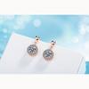 Design Sense Cold Wind Small Lock Fashion Zirconia Sparkling Classic Stud Earrings for Women Dazzling Female Elegant Accessories Timeless Jewelry
