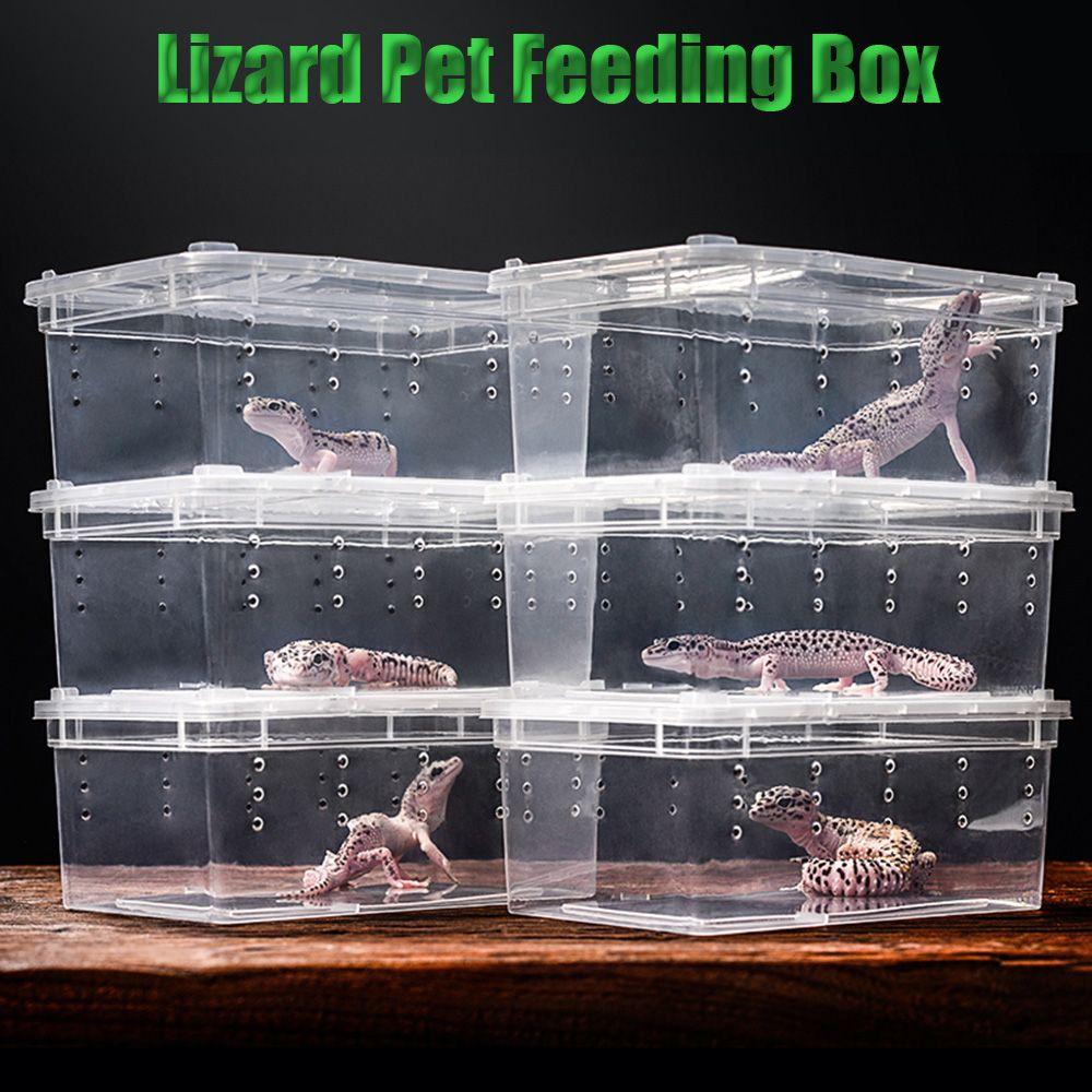 Reptile Frogs Tarantulas Snakes Breeding Insect Reptile Terrarium Living House Cage Feeding Box