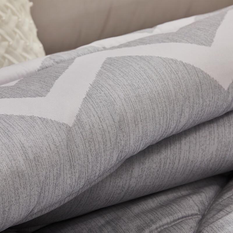 Mercury Elegant Negative Ion Antibacterial All-Season Quilt