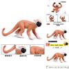 Saimiri Sciureus Monkey Animal Figure With Durable Plastic Material For Young Children