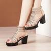 Summer Women's High Heel Shoes Rome Women's Peep Toe Platform Chunky Heel Gladiator Sandals Outdoor Dress Party Fish Mouth Shoes