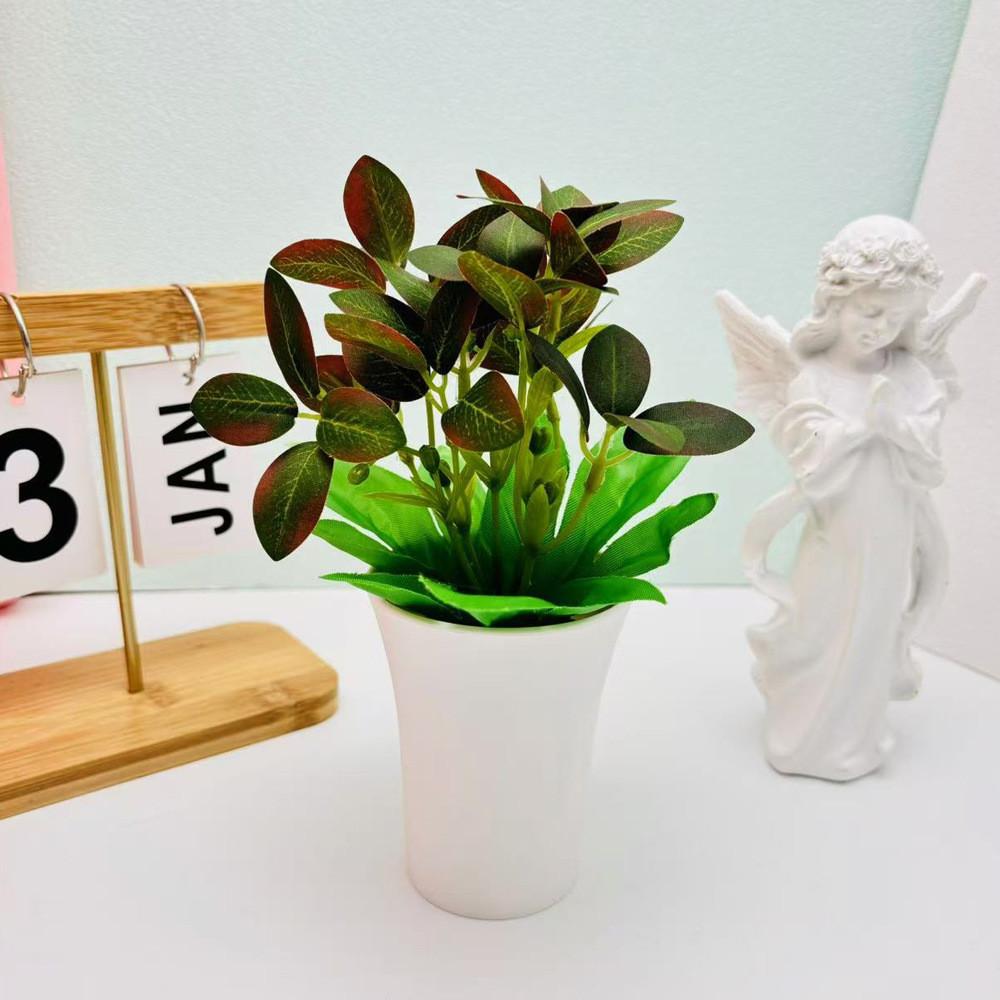 Мимоза Стыдливая Шеффлера Восьмилистная Зеленое Растение для Домашнего Настольного Декора