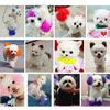 Semi Permanent Pet Dye Cream High Pigmented Colorful Dog Hair Bright Coloring Dyestuff Pigment Supplies Pet Hair Color
