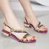 Fashion Hot Temperament Elegant Rhinestone Sandals Summer Low Heel Shoe 2024 New Open Shoes Rhinestone Fashion Sandals Women Sandal