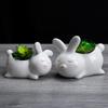 Креативный керамический цветочный горшок для суккулентов для домашнего садоводства, милый настольный горшечный цветок, новый керамический цветочный горшок-орнамент в виде животного