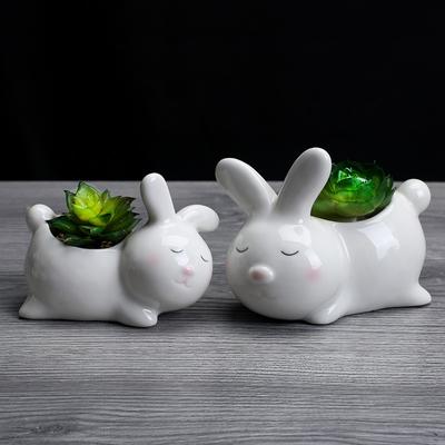 Креативный керамический цветочный горшок для суккулентов для домашнего садоводства, милый настольный горшечный цветок, новый керамический цветочный горшок-орнамент в виде животного