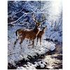 Полный 5D Diy Алмазная картина Зимний олень Алмазная вышивка Крестом Домашний декор Подарок ручной работы