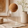 Glass Jar with Cork Ball Lid 10cm Clear
