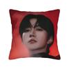 Pillow Case Huang Xing Eliot Huang DDesire Comfy  Pillow Cover For Office Car Home Decor Morden Pillowcases