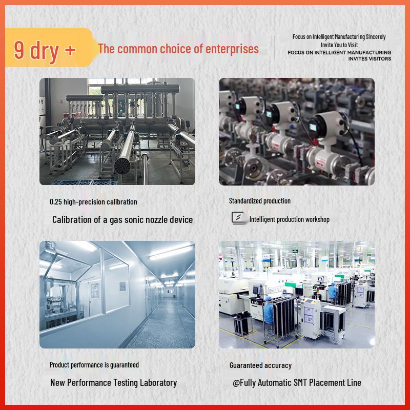 Explosion-Proof Aluminum Alloy Stainless Steel Nitrogen Swirl Flowmeter DN20