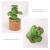Yousheng Artificial Potted Succulents Plants Refrigerator Magnet Home Office Kitchen Locker Fridge 3D Miniature Cork Pot Fake Plants Magnetic