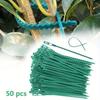 50pcs Adjustable Plastic Plant Ties Reusable Garden Tree Climbing Bracket Plant Vine Tomato Stem Clamp Ties