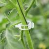 Secured Plastic Plant Clips Plant Fixing Buckle Clips Smooth Edge Vine Design Garden Plant