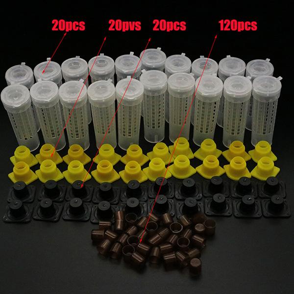 Beekeeping King Queen Bee Rearing System Box Plastic Cup Cell Protection Cover Cage Apiculture Kit Bees Tools Supplies 1 Set