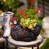 Фигурки цветочных горшков 'Курица' из смолы с солнечным светом, статуэтки кур, горшки для цветов, суккулентов, фигурка курицы, освещение, декор для улицы