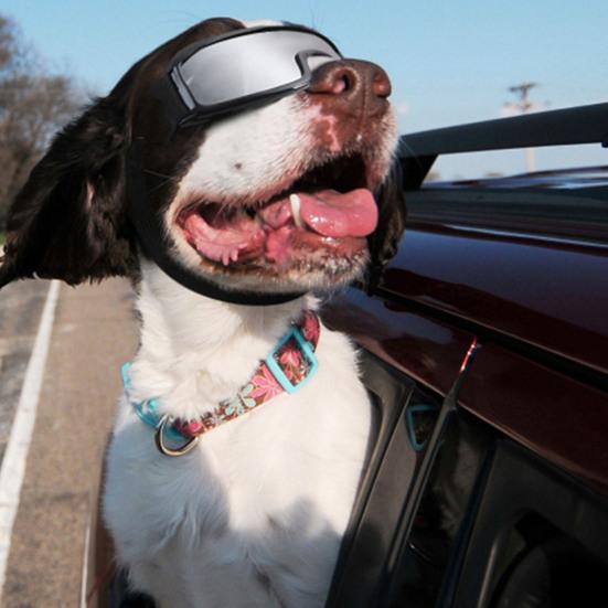 С регулируемыми ремнями, защита от ультрафиолета, ветрозащитные, противотуманные, пыленепроницаемые, солнцезащитные очки для собак, езда на открытом воздухе, вождение