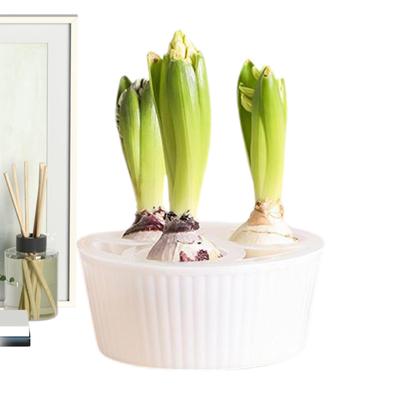 Гидропонная посадочная емкость с 3 отверстиями, контейнер для выращивания, емкость для посадки цветочных луковиц, посадочная емкость для гиацинтов, гидропонный цветочный горшок для цветочных луковиц