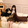 Soft Dachshund Dog Doll Plush Toy Puppy Dog Doll Children's Soothing Ragdoll Male Birthday Gift