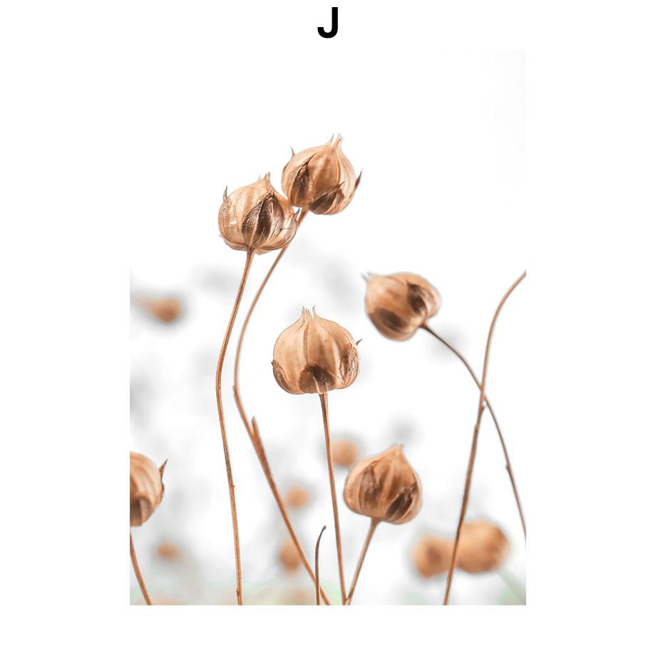 Бежевый пальмовый лист, жгучий цветок, тростник, постеры и принты, холст, живопись, скандинавские настенные художественные картины, гостиная, домашний декор