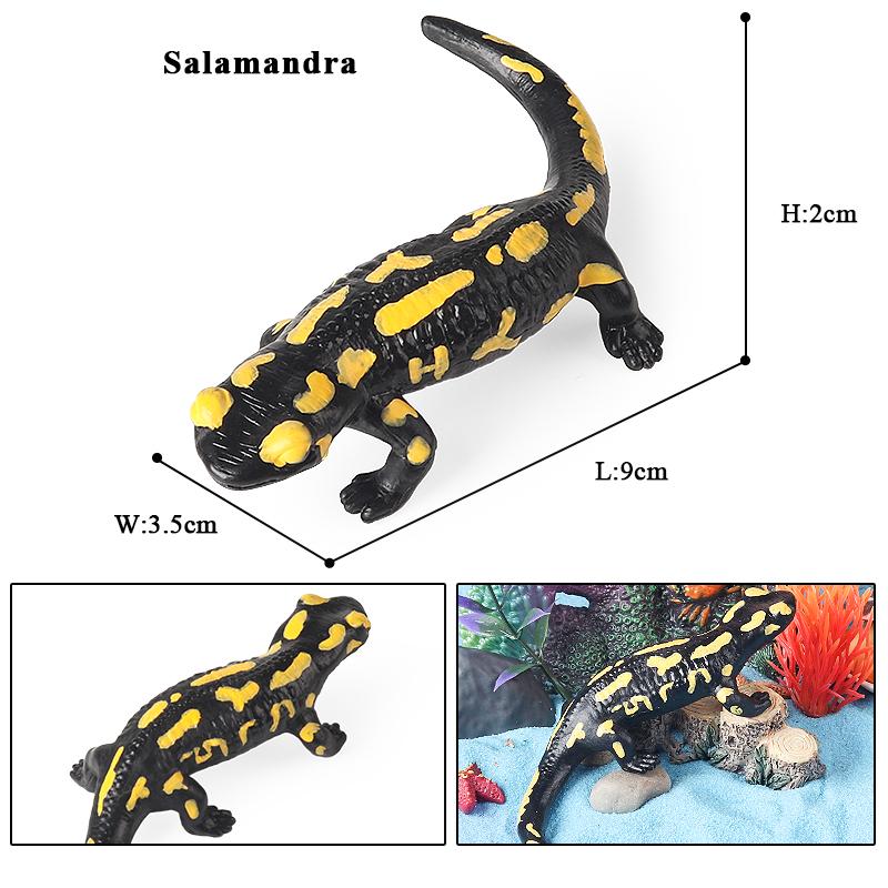 Oenux Амфибии Водное животное Тритон Саламандра Cryptobranchoidea Животные Модель Фигурка Действия Образование Милая Детская Игрушка Подарок
