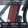 Ebike AKEZ aluminum alloy electric bicycle 21 speed adult electric bicycle 29 inch 48v13AH lithium battery 1000W motor, unisex.