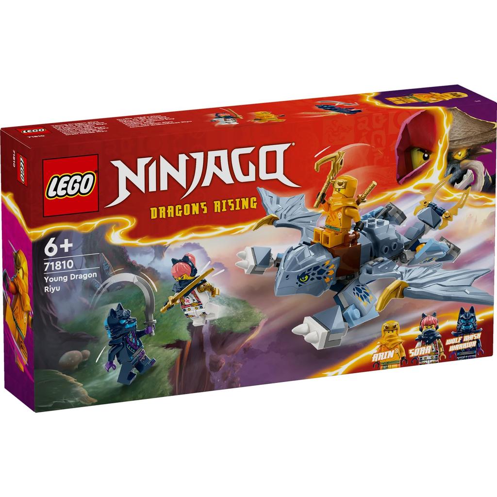 LEGO Ninjago Dragon Ryu Toy Present Birthday Block Educational Christmas Boys Girls Children 6 Years Old 7 Years Old 8 Years Old 9 Years Old Battle