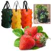 Reusable Planter Pot PE Growing Bags For Vegetable Flower Outdoor Planting Bag Hanging Strawberry Potato Flower Planter Bag