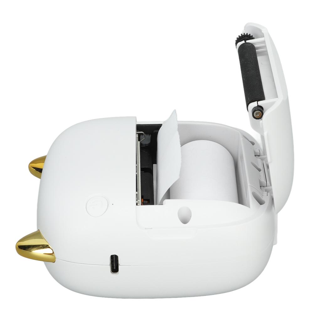 Wireless Mini Photo Printer Portable Inkless Adhesive Rechargeable 200DPI High Resolution Bluetooth