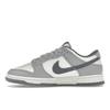 Nike Dunk Low SE Light Carbon Men Sneakers Grey White Platinum-Tint FJ4188-100
