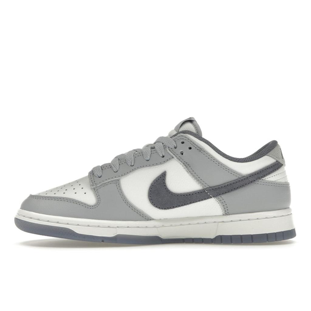 Nike Dunk Low SE Light Carbon Men Sneakers Grey White Platinum-Tint FJ4188-100