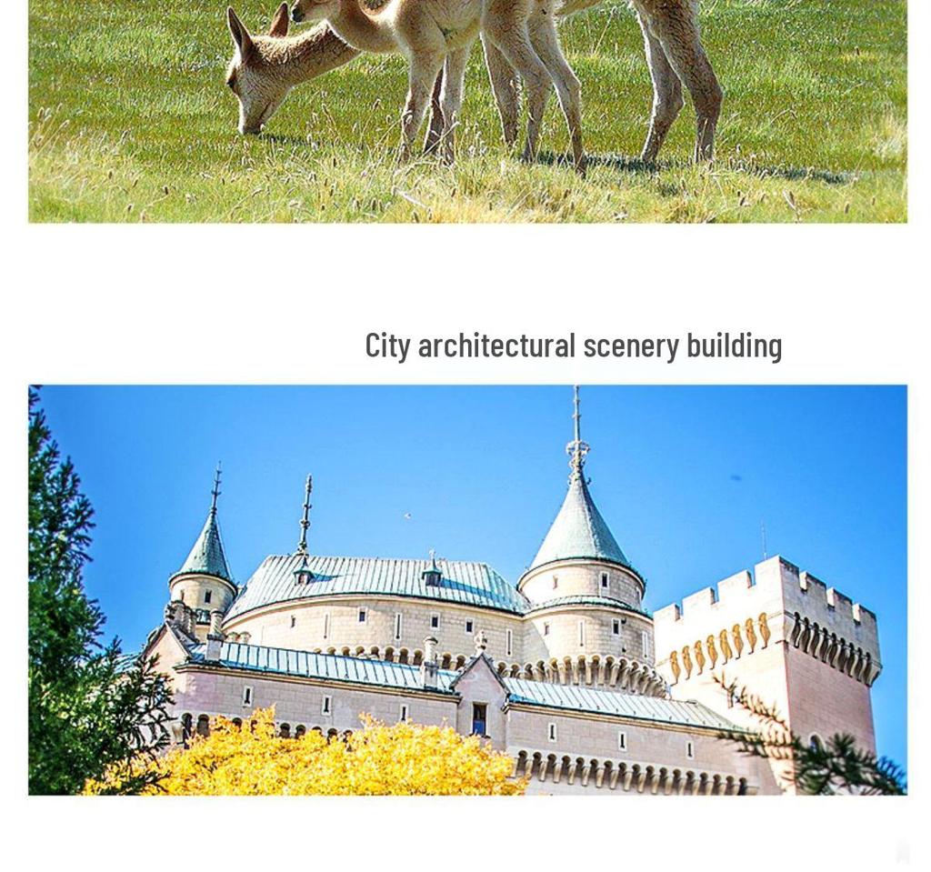 High-Definition Astronomical Telescope for Primary School STEAM Learning