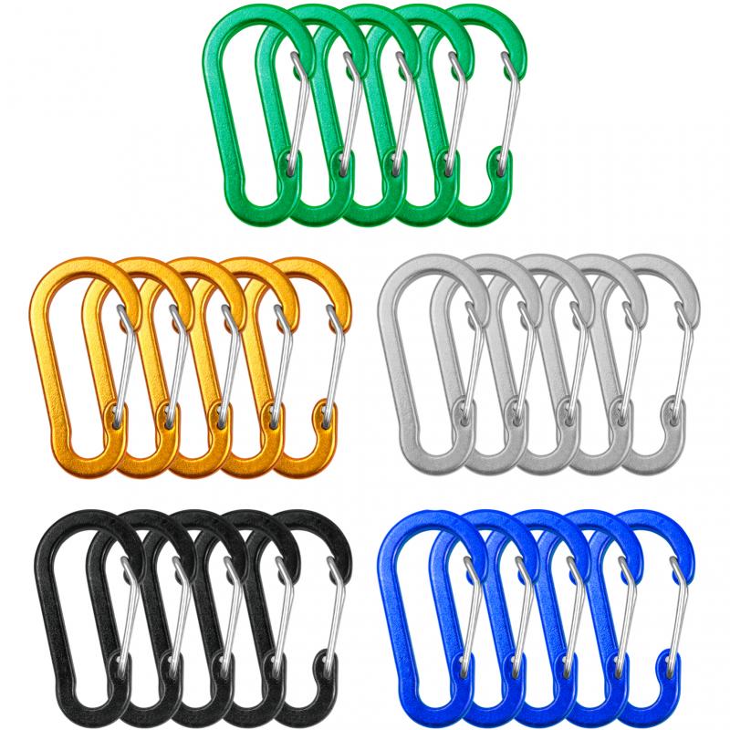 5 PCS Carabiner Clips Mini Aluminum Alloy Keychain Carabiner Clip D Rings for Outdoor Camping Hiking Fishing Backpacking