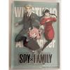 Б/у акриловый блок Шпионская семья spyfamily